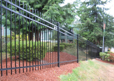 black steel fence company summerville